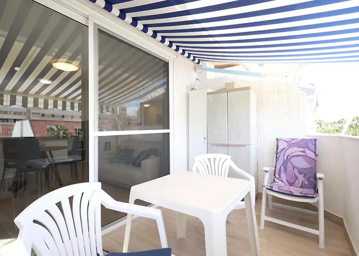 Summer Dream Americas